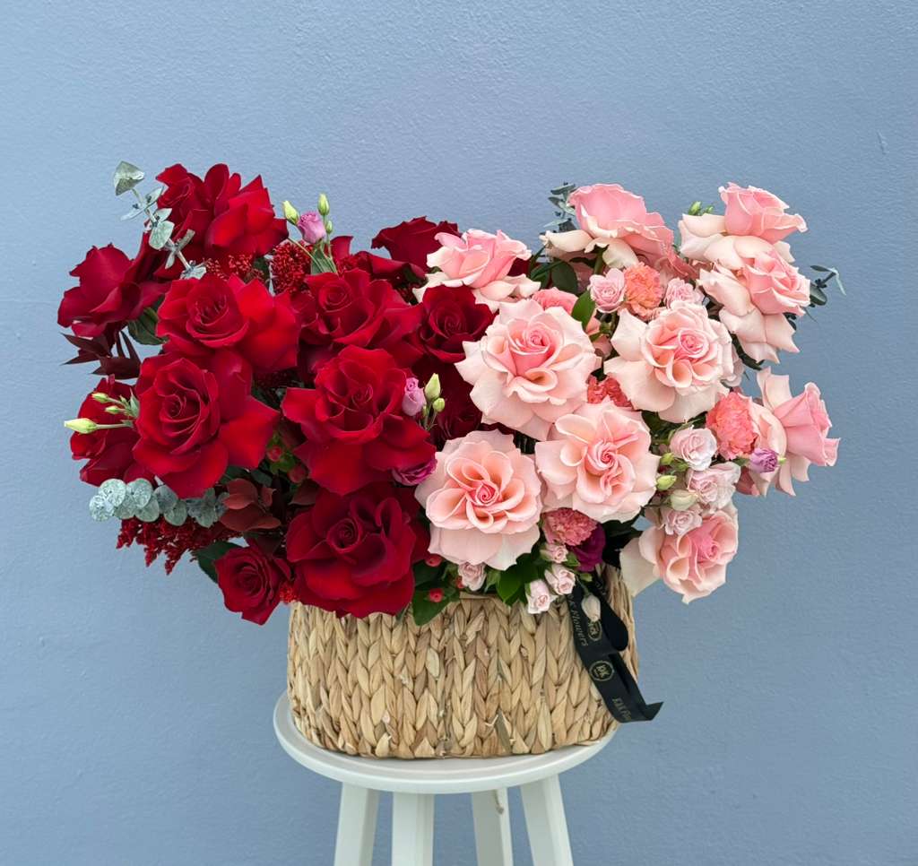 Bi-color Basket Red and Pink  - A modern bi-color basket arrangement featuring premium French roses in soft blush and creamy ivory tones, beautifully accented with lush mixed complementary blooms and delicate textures for a true “wow” effect. Designed in an elegant contemporary basket, this arrangement blends romance and sophistication with a fresh garden-inspired style — perfect for birthdays, celebrations, or making a luxurious statement. Arrangement size - 25"x25" approx.