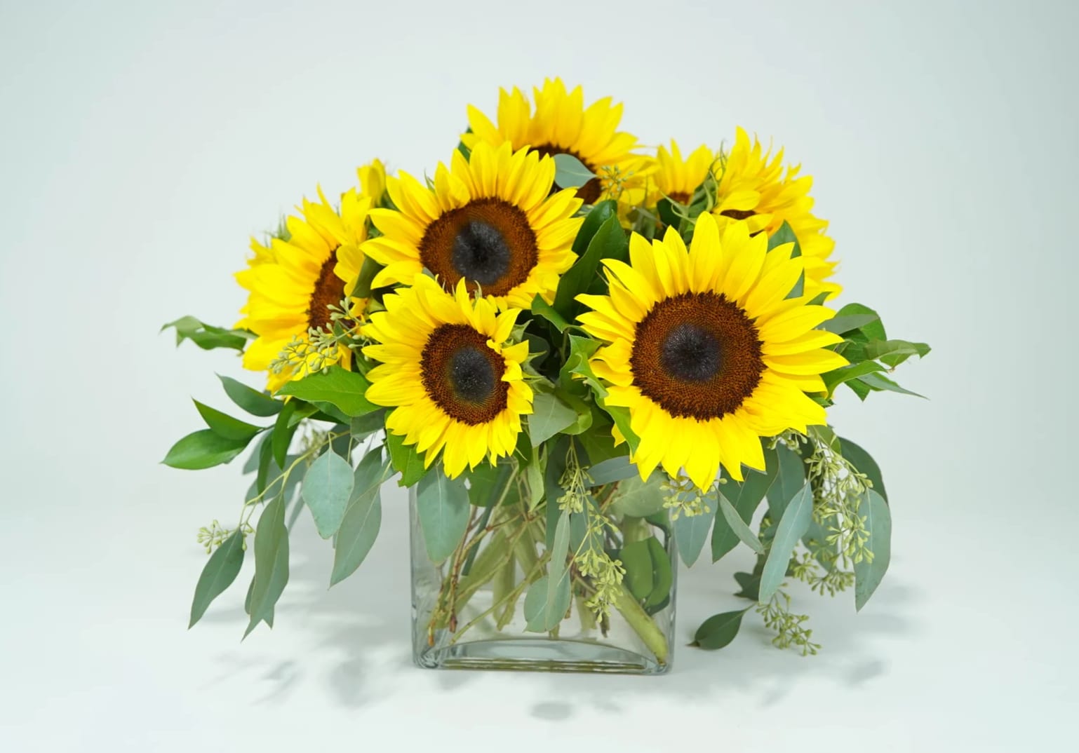 Sunflower arrangement in a clear square vase