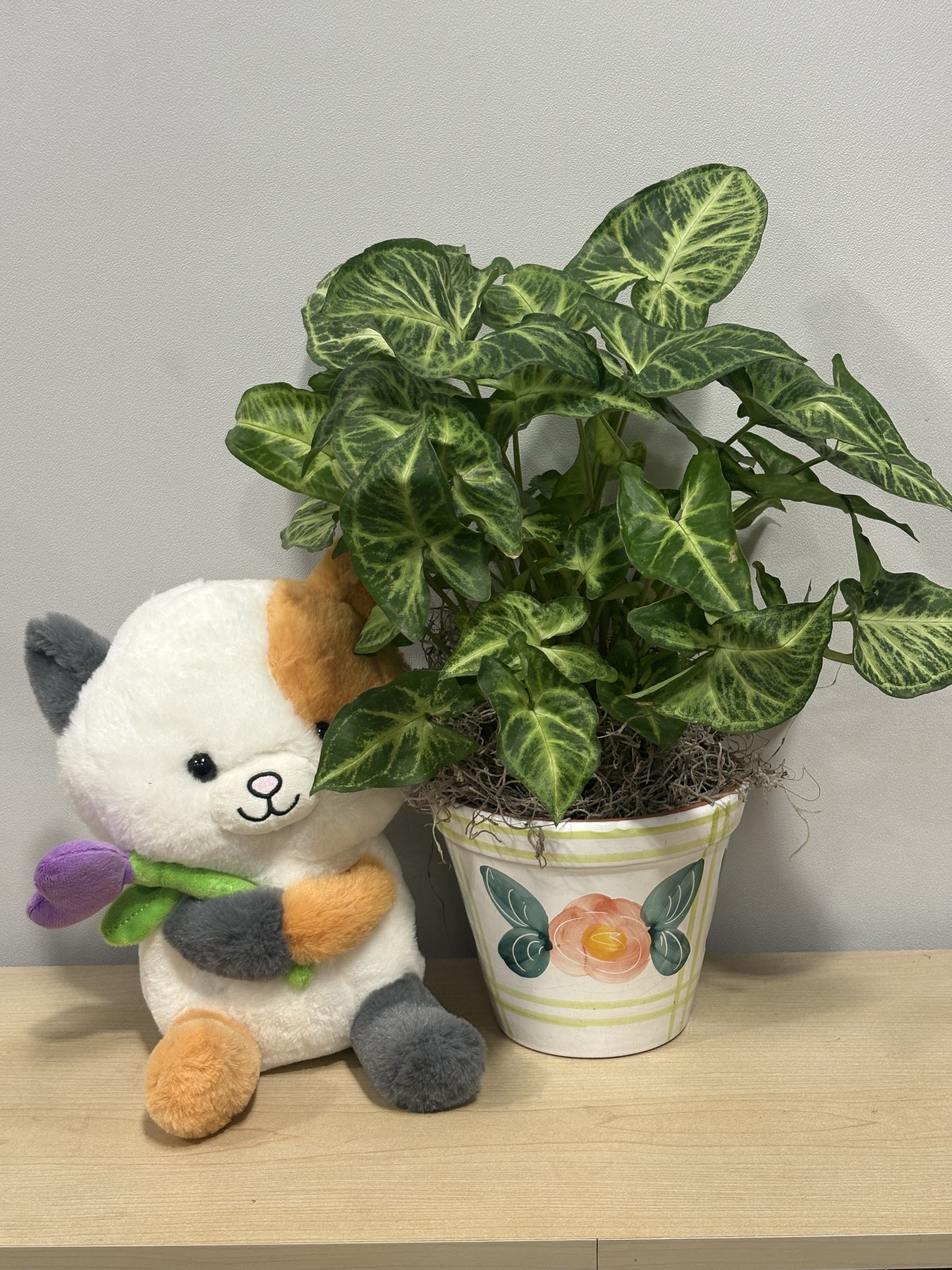 Peach Rose Planter &amp; Kitty - As shown