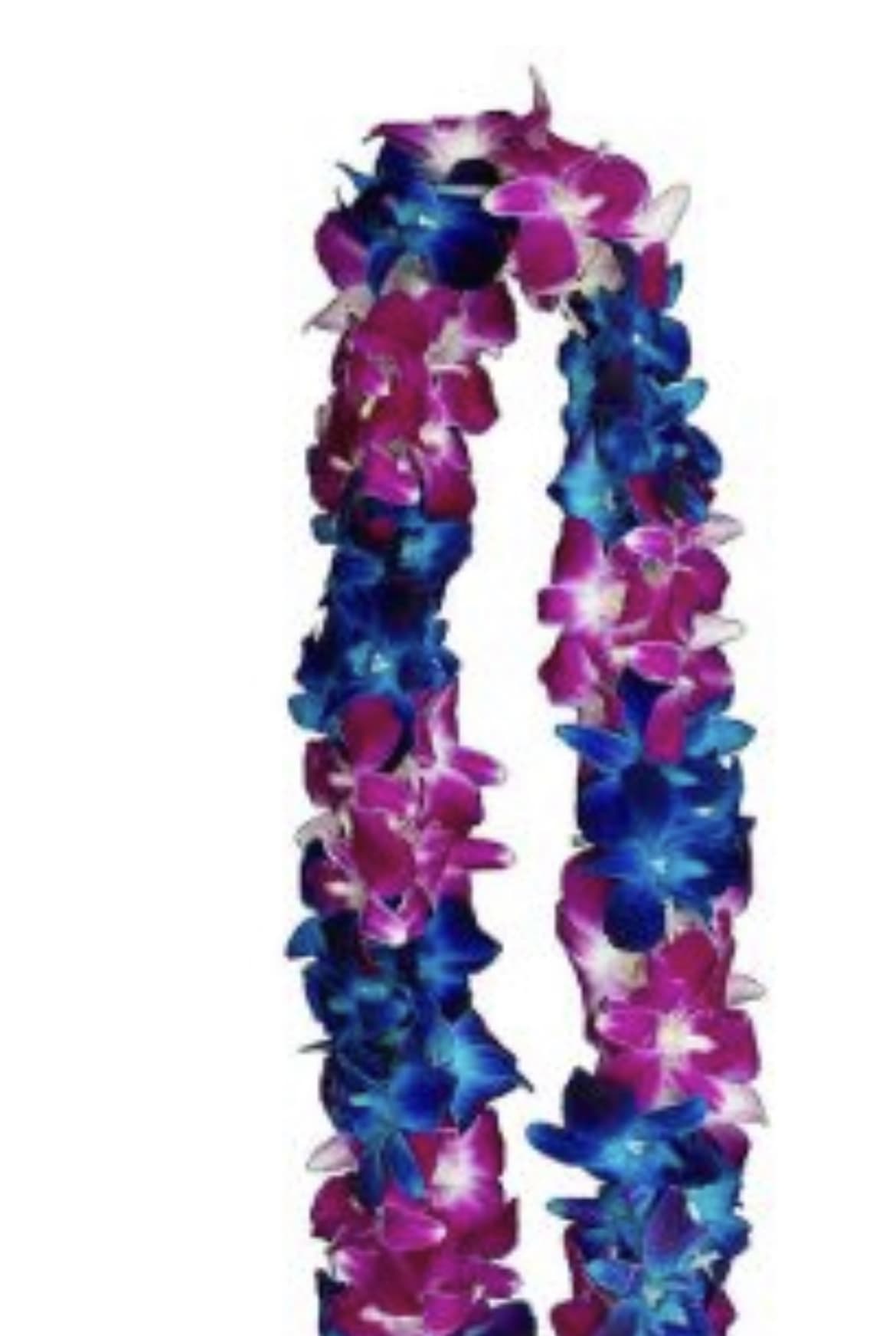 Blue &amp; Purple Lei  - Our beautiful Blue &amp; Purple Double Orchid Leis are handcrafted with fresh orchids and are perfect for graduations, celebrations, and special occasions. We do not make these leis in-house. Please PRE-ORDER AT LEAST A WEEK IN ADVANCE!