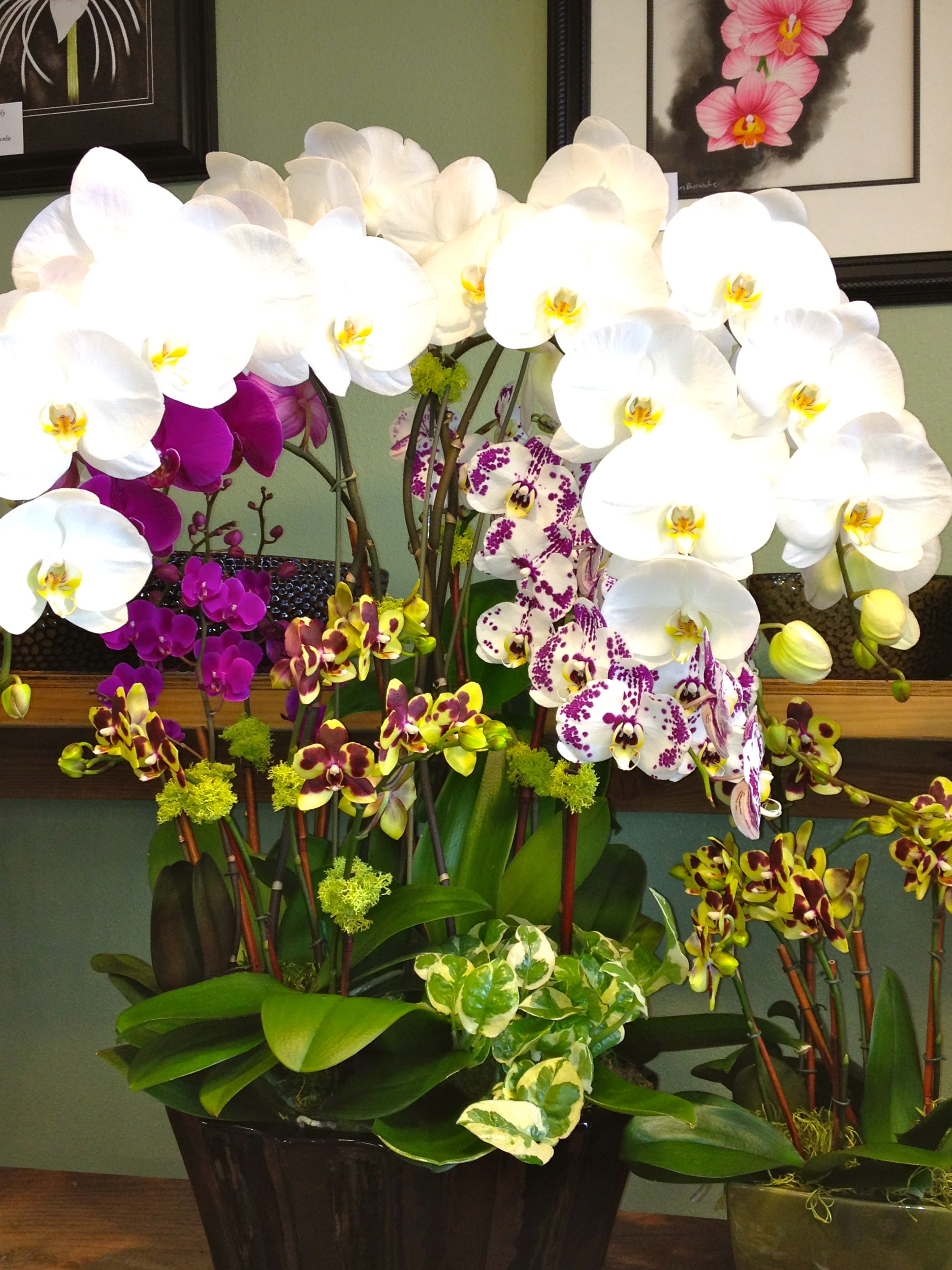 Arrangement of white and purple orchids in a dark pot
