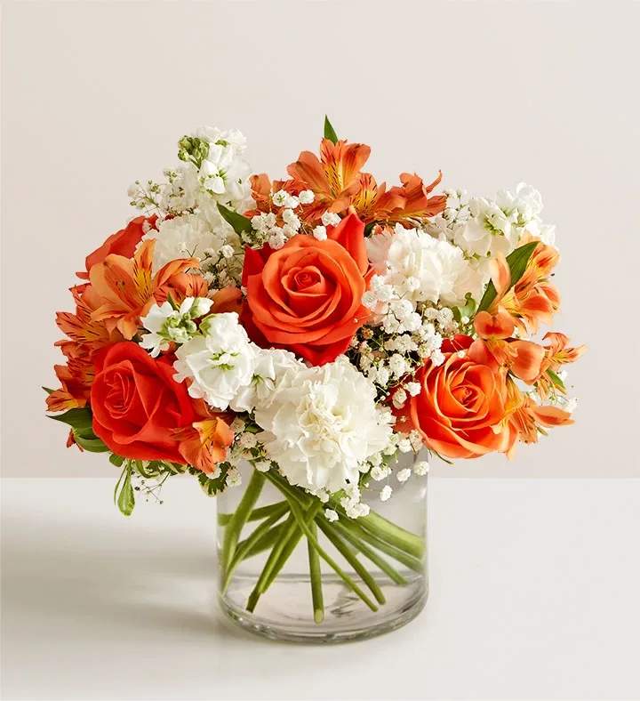 Loving Sentiments™ Peach, Orange &amp; White - Loving Sentiments™ Orange &amp; White This composition breathes with movement and balance, as if touched by a soft breeze, capturing both the joy of sunlight and the serenity of stillness.