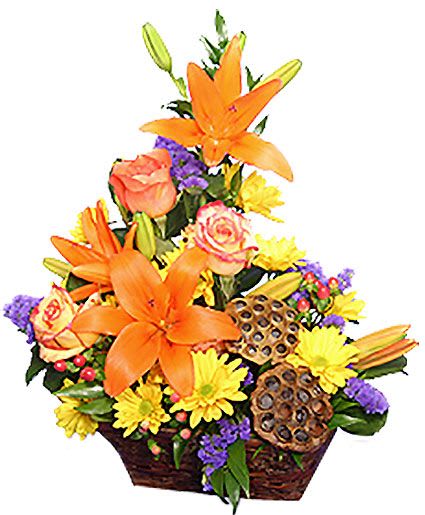 EXPRESSIONS OF FALL - Send an eye-catching basket of lilies, daisy mums, roses and purple statice with hypericum berries and lotus pods to accent.  Amor Florist &amp; Gift Baskets can help you add seasonal spice to any celebration, birthday, housewarming or family gathering.