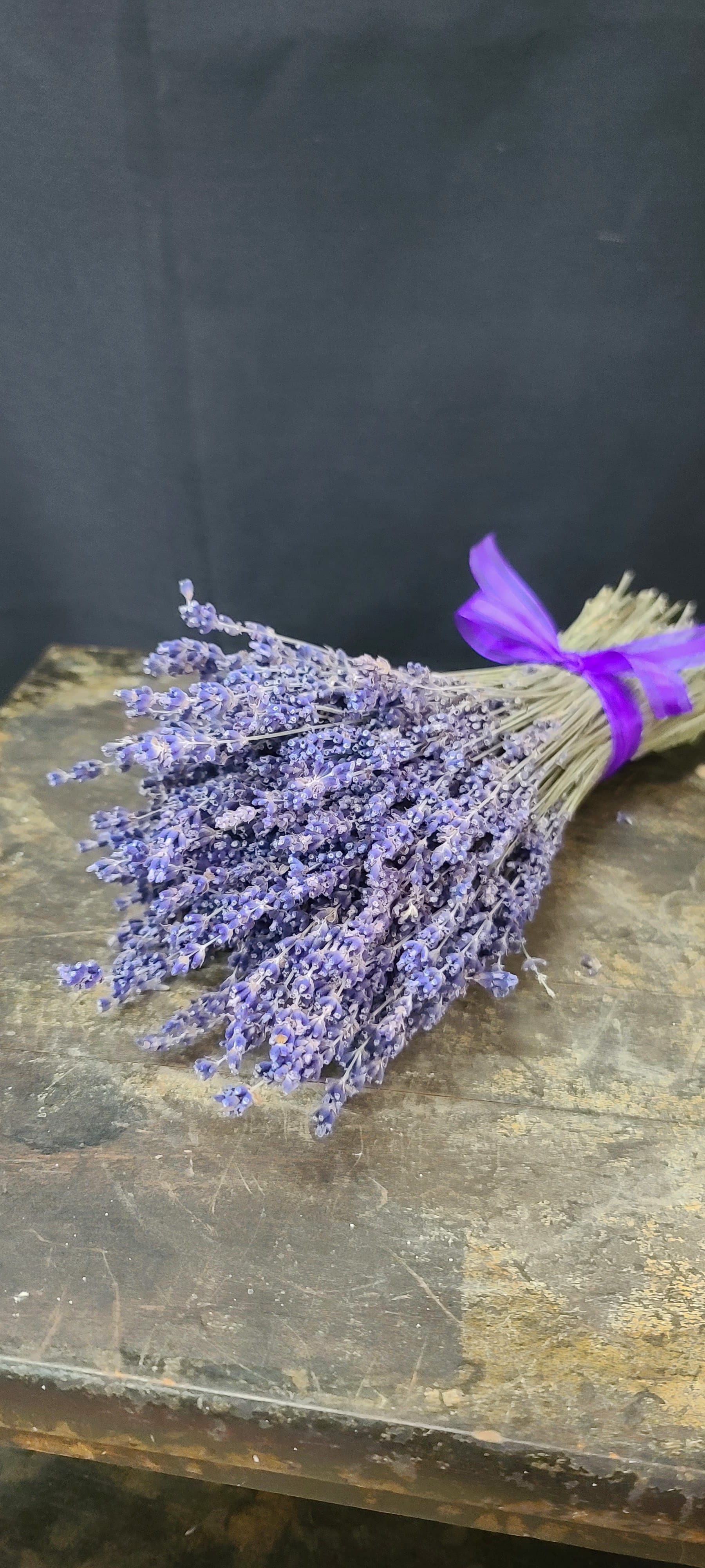 Bundle of dried lavender tied with a purple ribbon