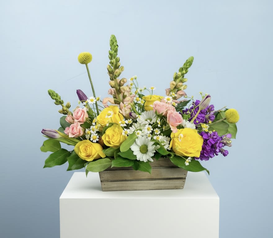 Country Garden Blooms - Take a stroll through a country flower garden with this lovely arrangement, designed in a keepsake wooden crate. Exact colors may vary from picture, but will be in spring colors. Includes a seasonal selection of roses, tulips, daisies, and snap dragons with seasonal filler. Standard arrangement is approximately  11" high and 16" wide.   Please Note: Standard Delivery for this product occurs in the afternoon, between 2:30pm and 7pm. If you need it by a certain time, there is an option to select a timed window for scheduled deliveries.