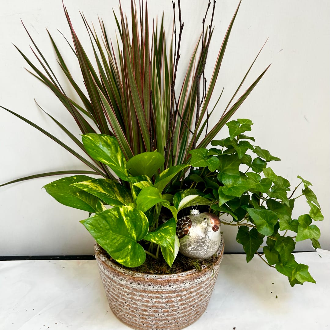 Potted arrangement of mixed green plants with a decorative ornament