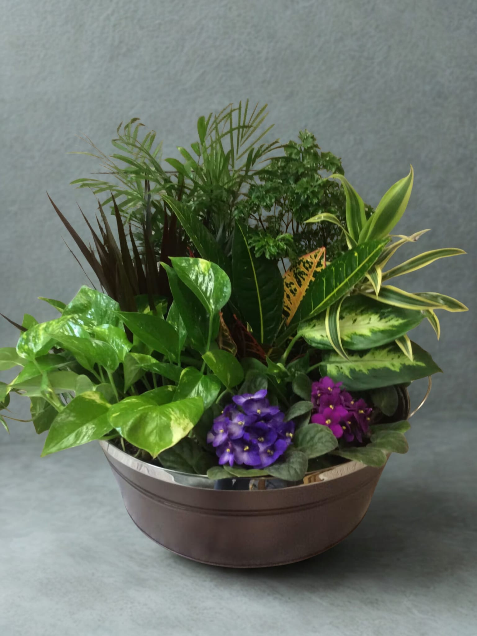 Bountiful Botanicals  - Stunning variety of both green and blooming plants artfully designed, and ready to bring a smile to anyones face. All plants and container may vary due to availability 