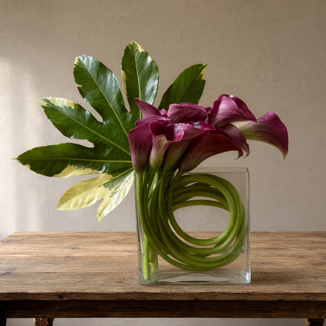 Purple calla lilies in a clear glass vase with large variegated leaves