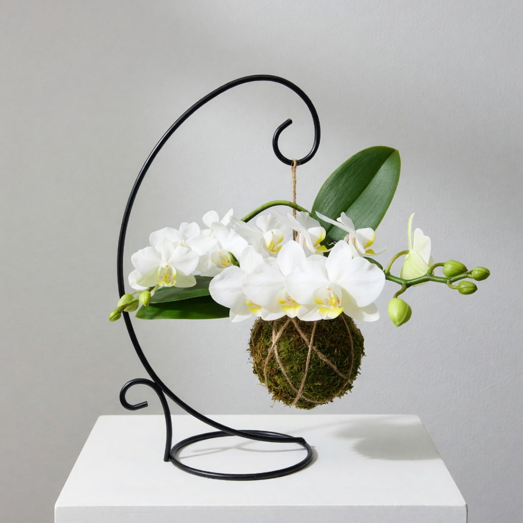 White orchids arranged in a hanging moss ball on a black metal stand