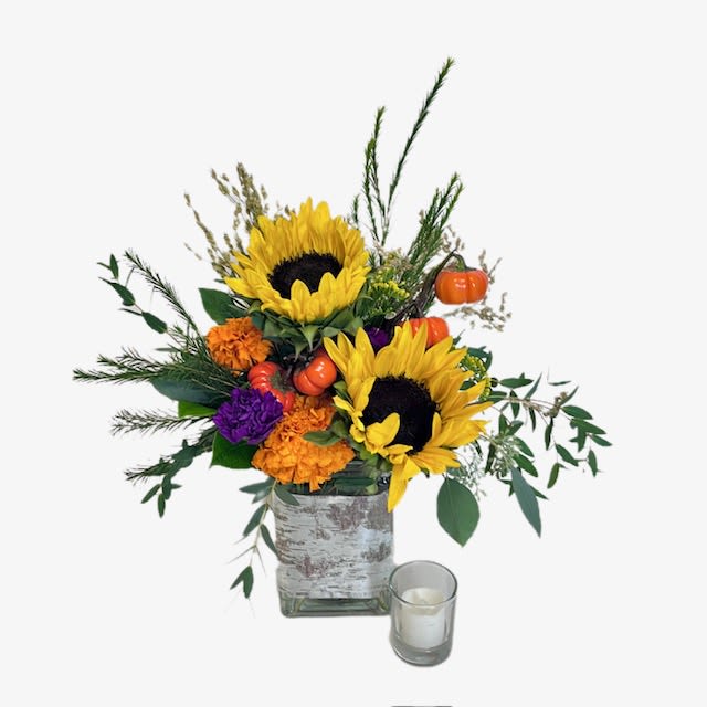 Sunflower Charm - Surprise someone special with Sunflower Charm, a perfect autumn gift that captures the warmth and beauty of the season! This delightful arrangement features bright sunflowers, vibrant marigolds, and pops of rich purple blooms, all accented with festive mini pumpkins. Nestled in a rustic birch-wrapped vase, it's a thoughtful way to celebrate fall and bring a smile to their face. Whether for a birthday, a thank-you, or just because, this bouquet is a unique and heartwarming way to share the spirit of the season with someone you care about.