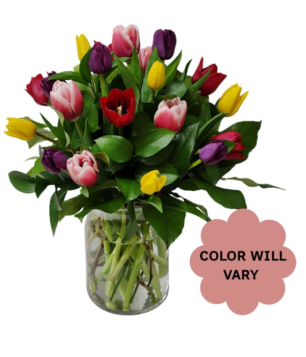 Mixed tulip bouquet in a clear glass vase