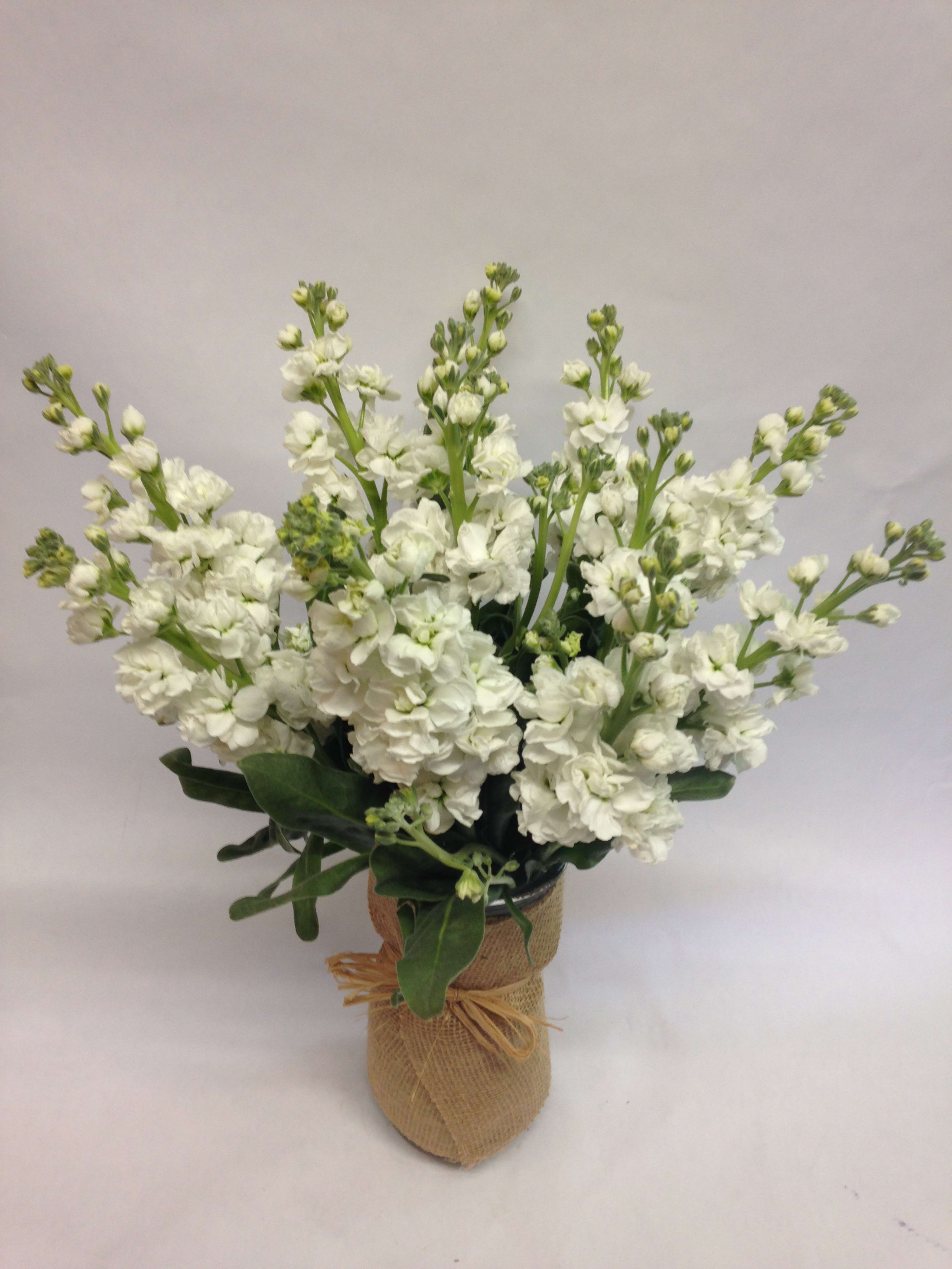 White flower arrangement in a burlap-wrapped vase