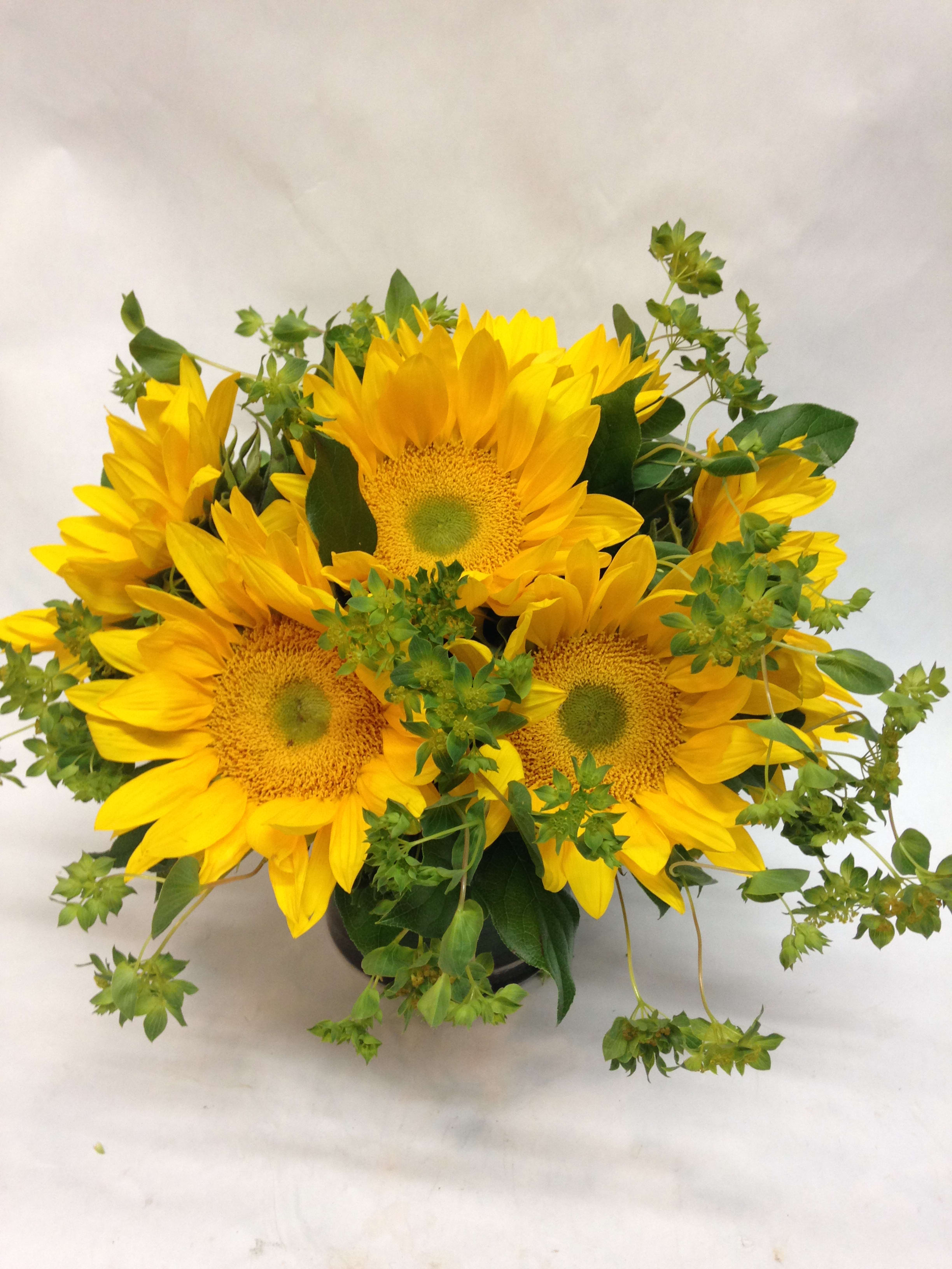 Bouquet of yellow sunflowers with green filler in a dark vase