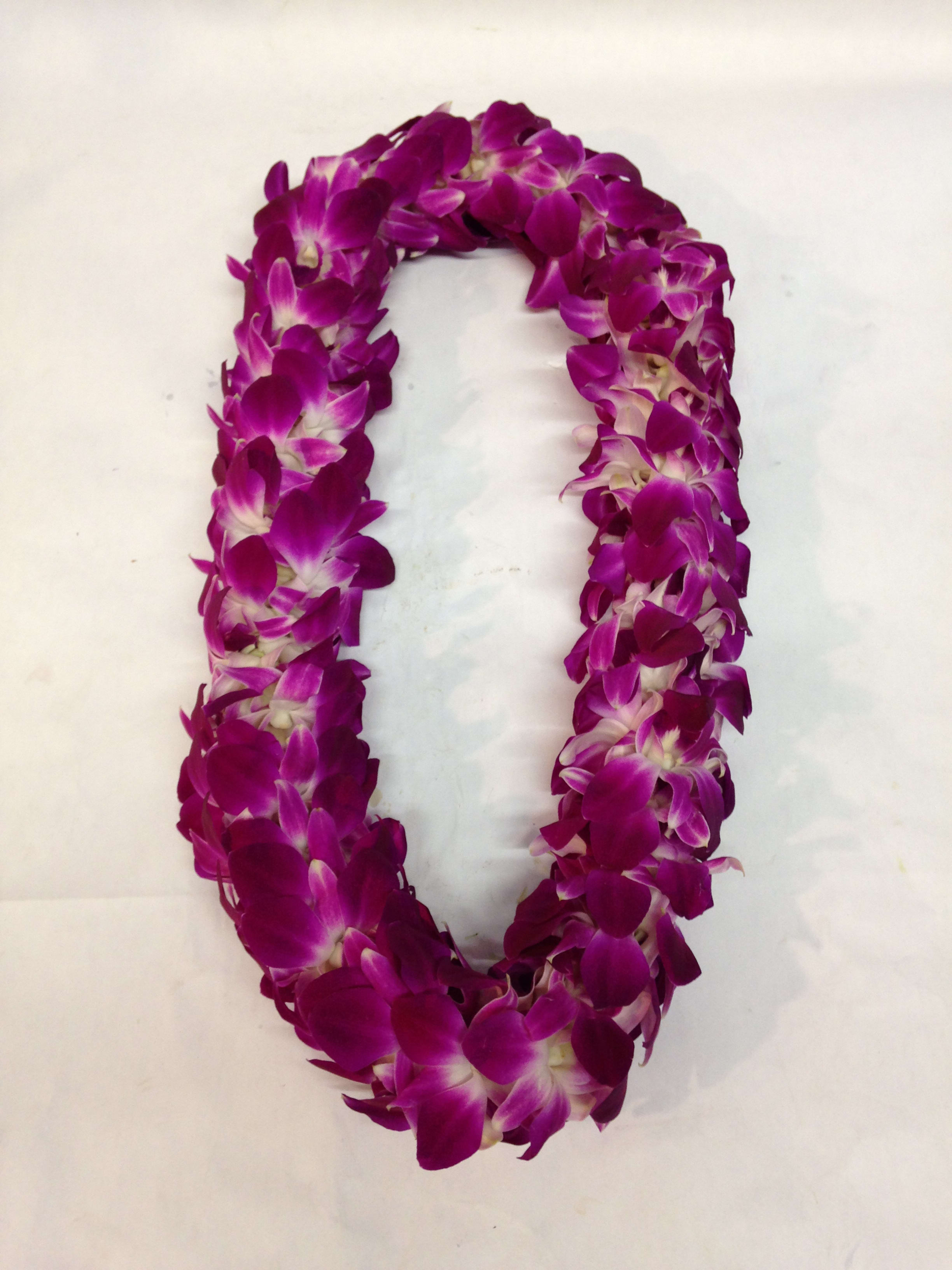 Purple orchid lei on a white background