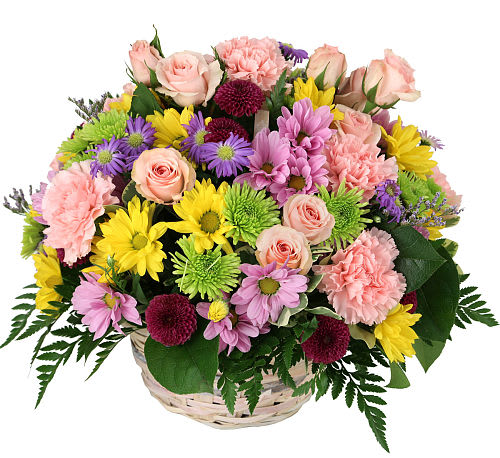Oh Happy Day flowers basket - It's so easy to send a friend, co-worker or loved one some happy vibes with this affordable basket of fresh flowers. Featuring an uplifting colour combination of carnations, daisies, chrysanthemums and button poms.