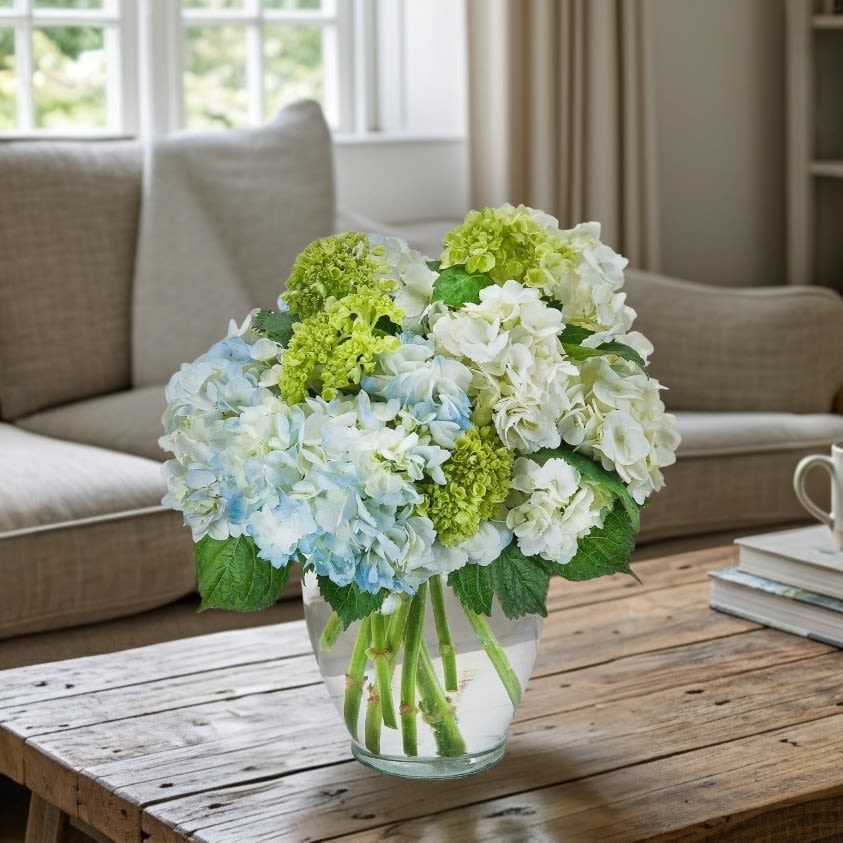 Southern Hospitality - A clear vase filled with beautiful hydrangea.