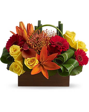 Low rectangular arrangement with yellow roses, red gerberas, orange lilies, and pincushion protea in a wooden box