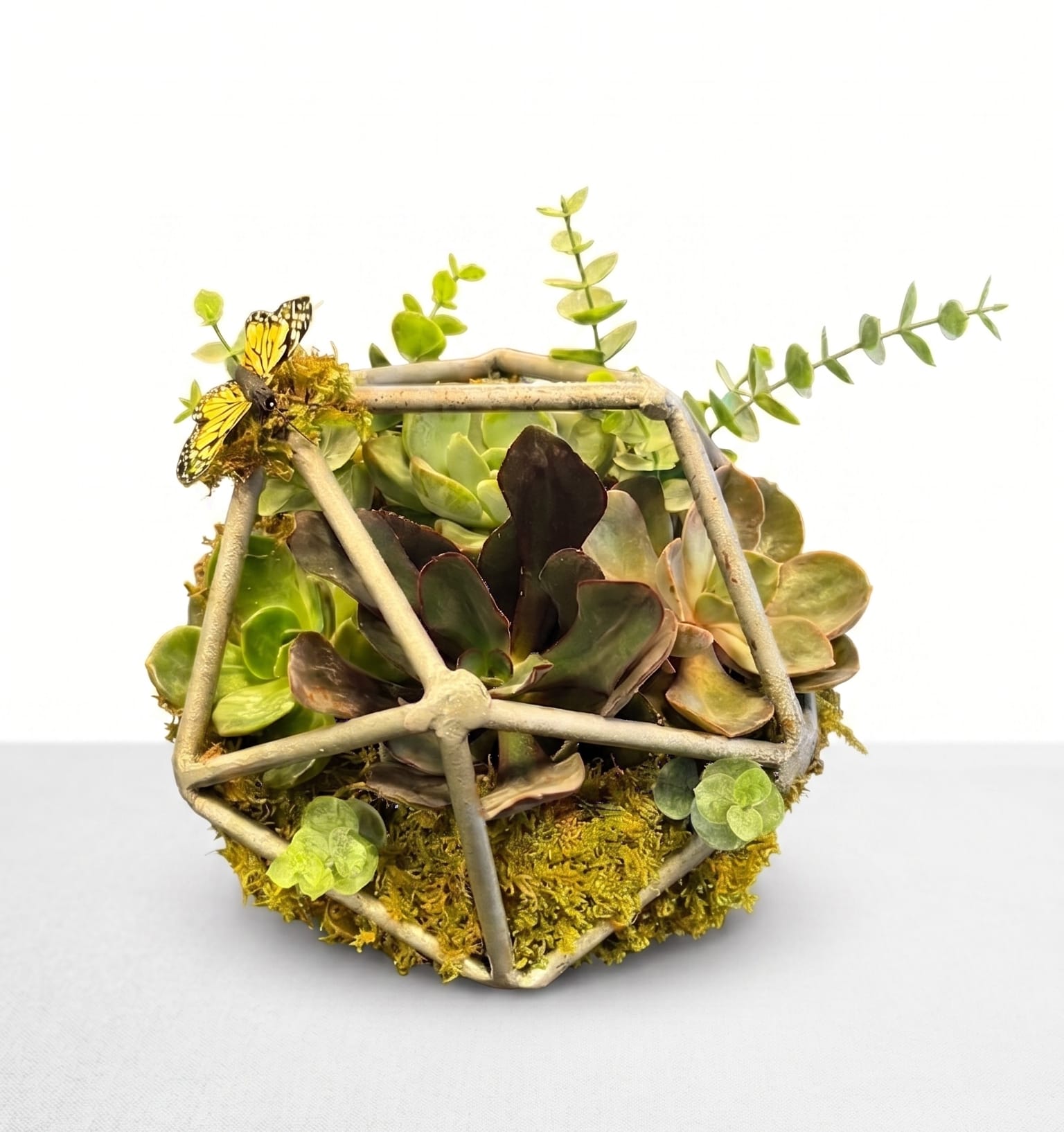 The Garden Prism - A miniature ecosystem of wonder captured in stone and silver. The Garden Prism brings the magic of a hidden forest glen right to your home. Thick, velvety succulents and rich green mosses thrive inside a uniquely faceted geometric shell, topped with a whimsical butterfly resting on its crown. It's an enchanting, living sculpture that serves as the perfect center-piece or a truly memorable gift for someone special.