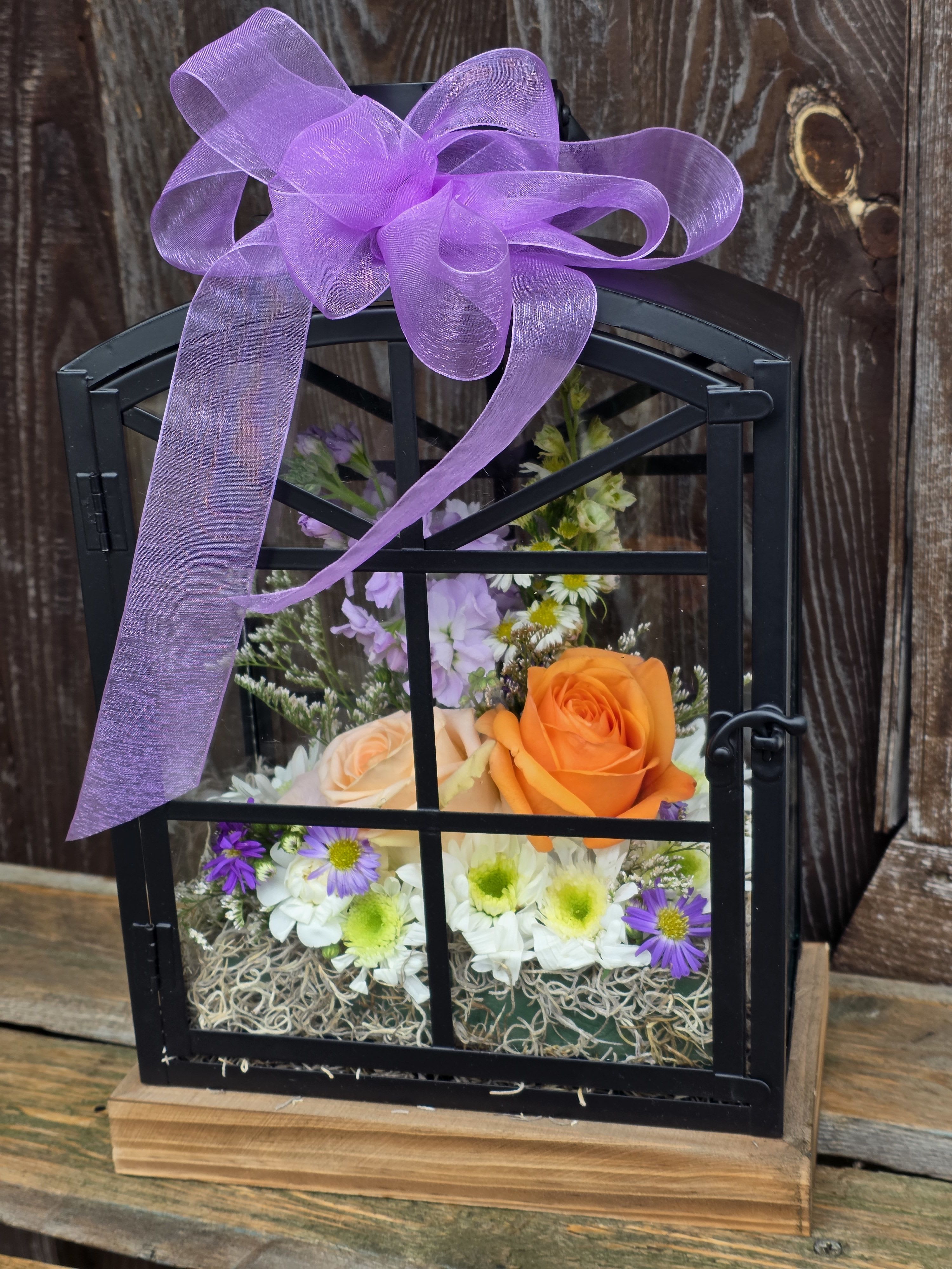 Flutter Away Butterfly Lantern - A unique decorative black metal lantern, has an arched top front door and a wooden base, is filled with fresh flowers and live butterflies.   Butterfly Bouquets make a great gift idea for birthdays, thinking of you, or are very symbolic as funeral/sympathy gifts.  The bouquet includes 2 live painted lady butterflies that can be enjoyed in the lantern for up to 24 hours. The recipient can release the butterflies and enjoy the flowers and lantern after the butterflies fly!  The flowers inside are designer's choice and usually include but not limited to: Roses, pomps, mini carnations, veronica, larkspur or seasonal flowers. Special requests can be accommodated to match a requested color theme for flowers and/or bow.  Dimensions: 14.25" H x 9.48" W x 5.89" D 