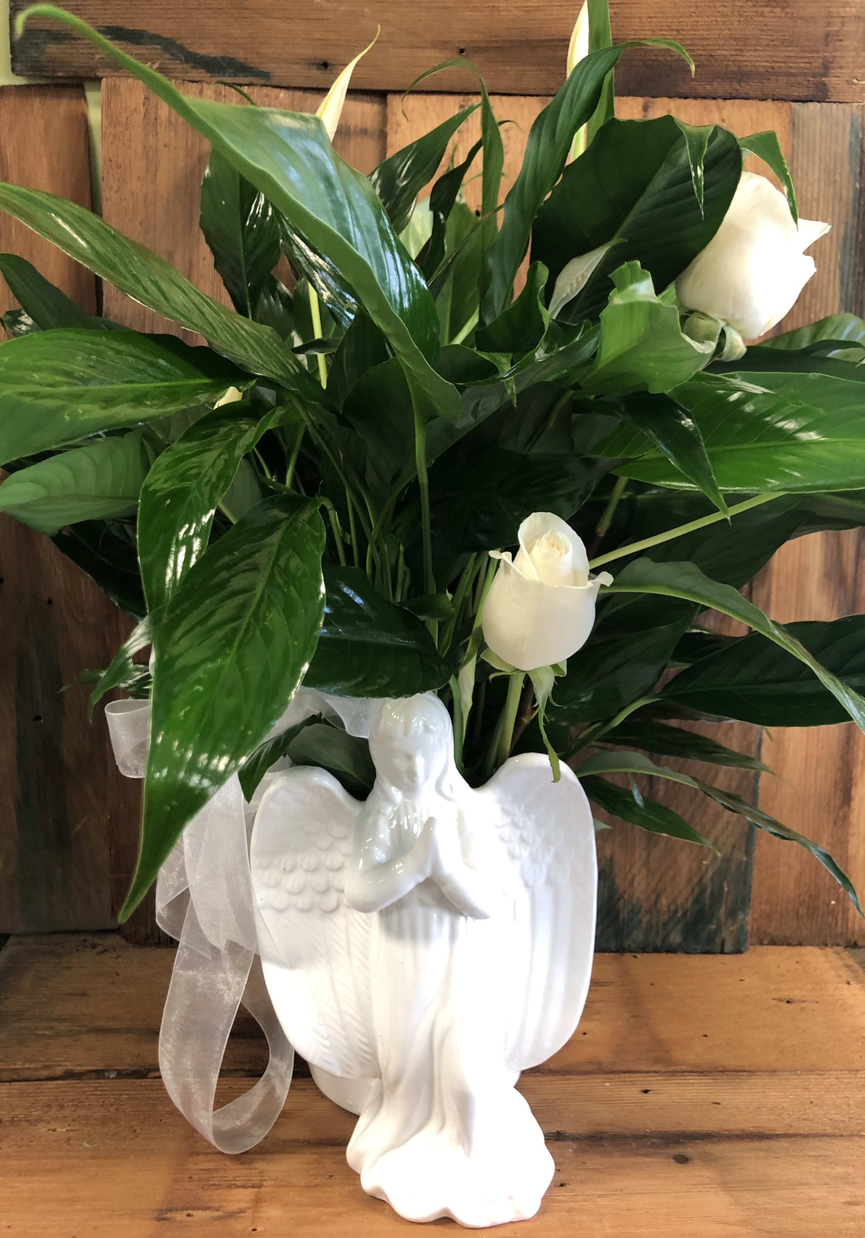 White roses in a white angel vase with a sheer ribbon