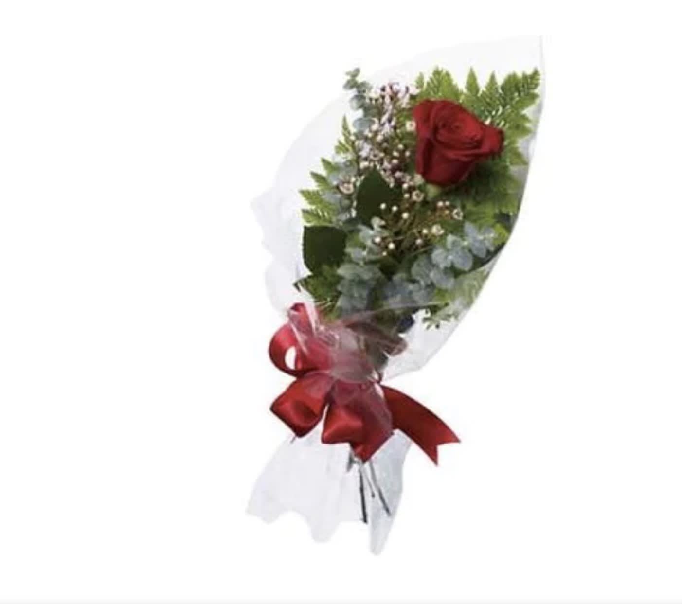 Single red rose bouquet wrapped in white paper with a red ribbon