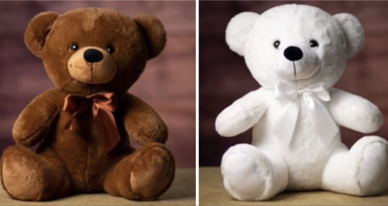 Two plush teddy bears, one brown and one white, each with a ribbon bow