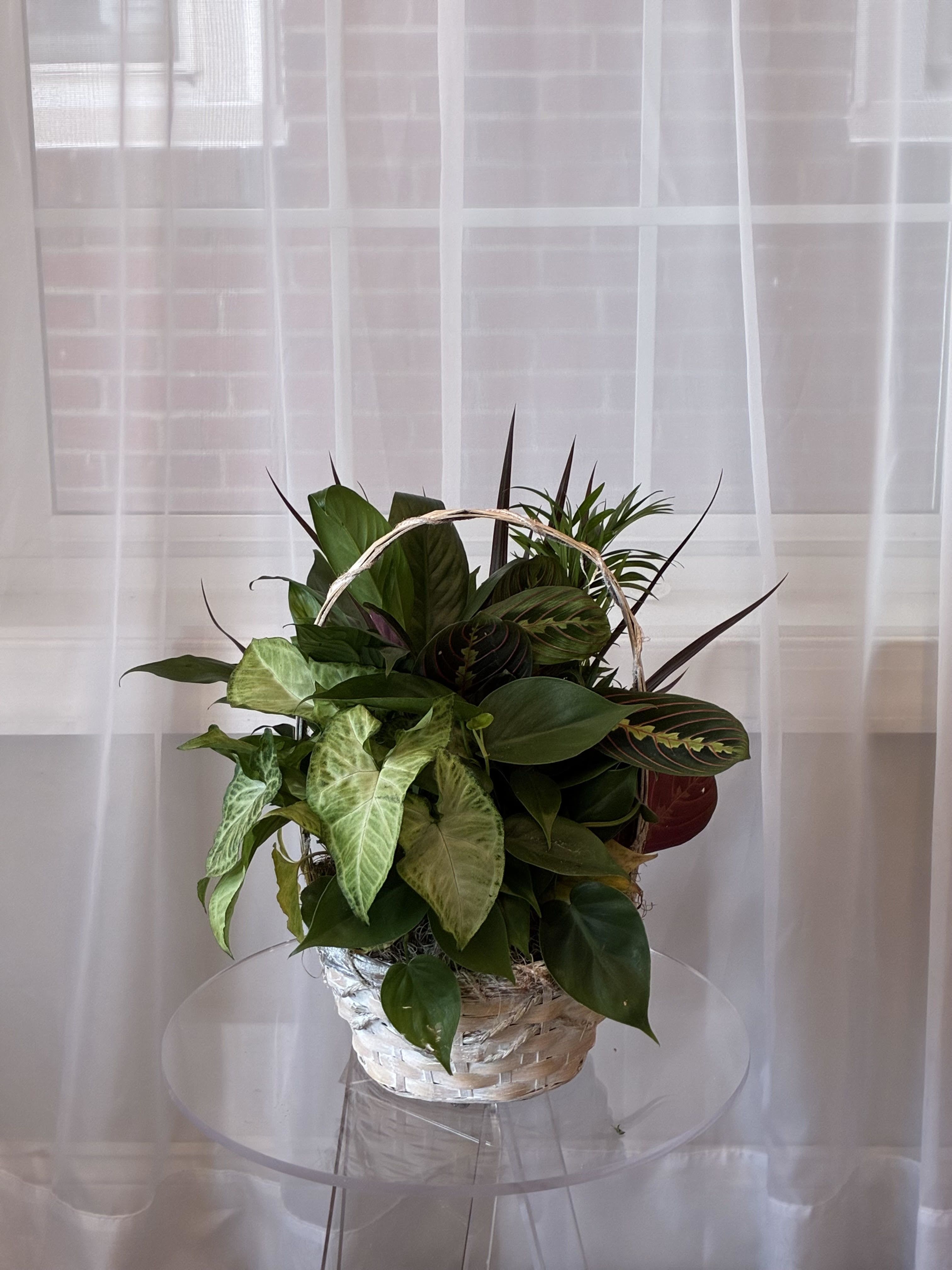 Mixed Plant Basket - Send a little garden to somebody. A mix of flowering plants and greenery make an excellent gift for father's day or as a way to say thank you.