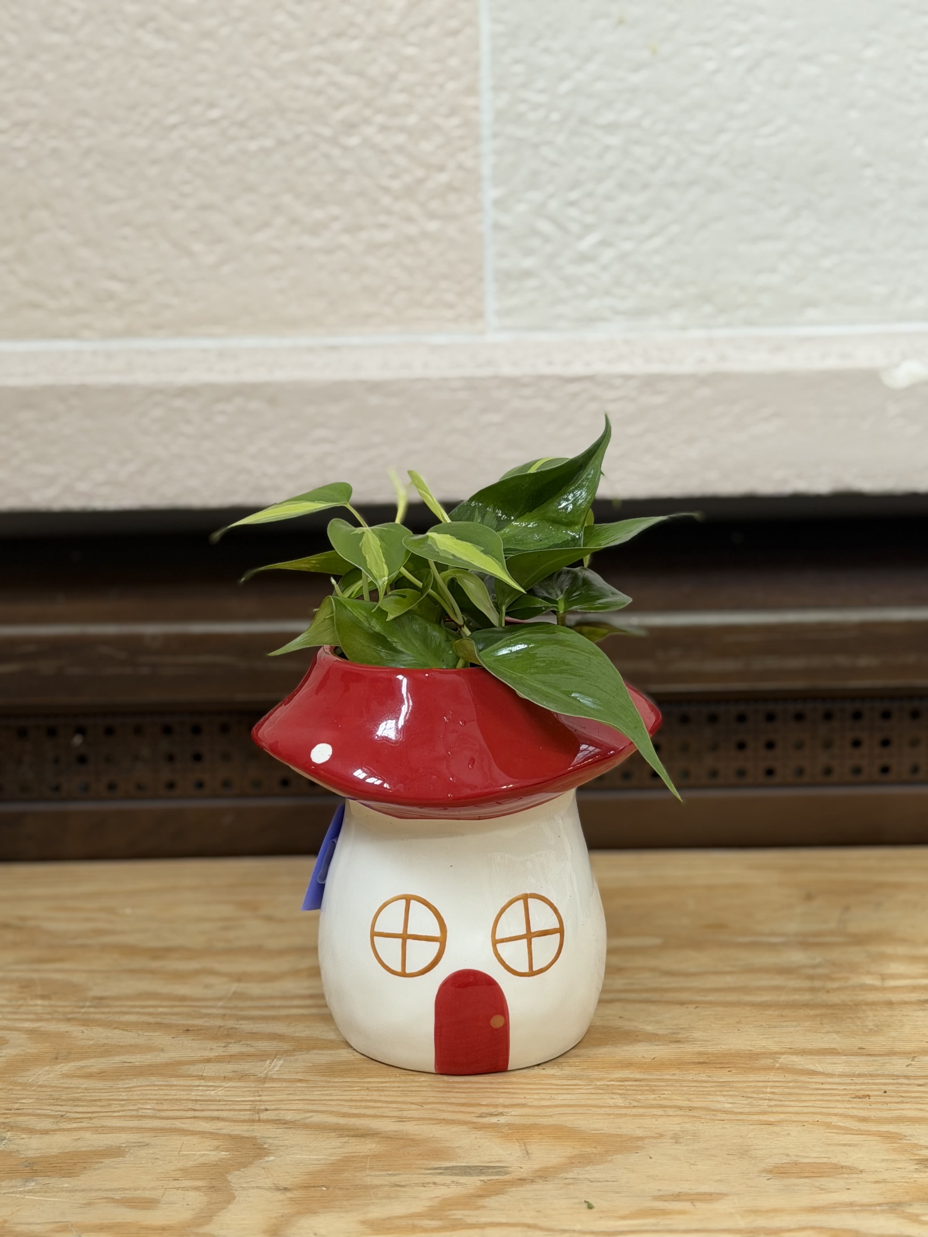 Small potted plant in a red-and-white mushroom-shaped ceramic planter