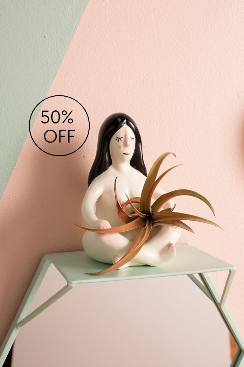 Ceramic figurine holding an air plant on a small table with a 50% off sign