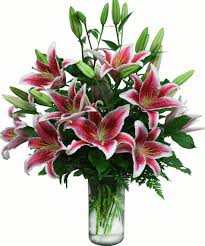 Pink lilies arranged in a clear glass vase