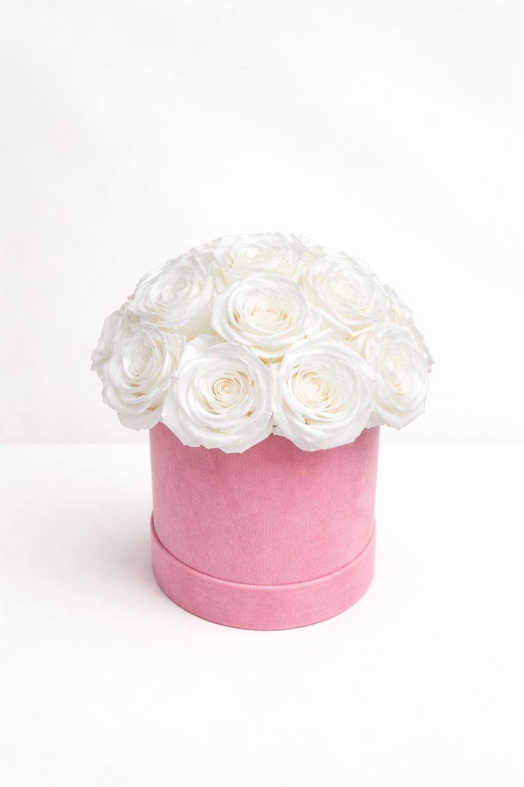 White roses arranged in a pink round box
