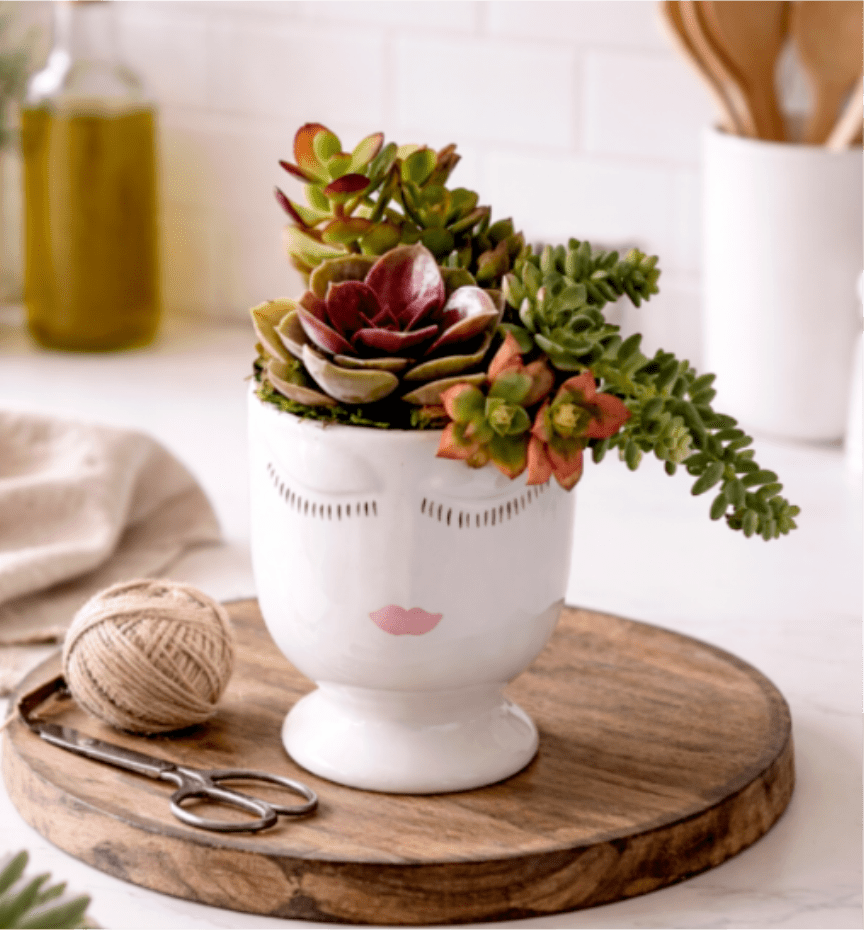 Succulent arrangement in a white face-shaped planter on a wooden tray