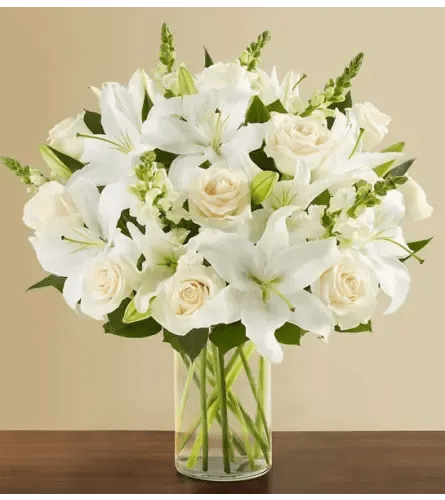 Classic All White Arrangement - White flowers have a timeless elegance, which is captured in our luxurious all-white arrangement. A soft yet poignant mix of roses, lilies and snapdragons is hand-gathered by our expert florists with touches of lush greenery inside a stylish cylinder vase. What more beautiful gift to express your love, thanks, appreciation, support—whatever is on your mind and in your heart.