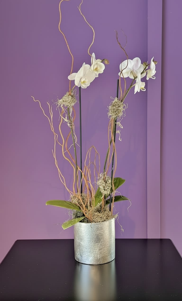 The Classic Orchid  - A beautiful and classic double stem white or pink orchid. Perfect for all occasions, bring it as a housewarming gift, a birthday, or anything in-between. You are welcome to provide a color preference in the notes.  Otherwise, our default is white.   Our orchids are mossed and come in a pretty silver or similar vessel.      Custom &amp; specialty orchid arrangements available.  Please contact the studio.  Michele loves making orchids!!