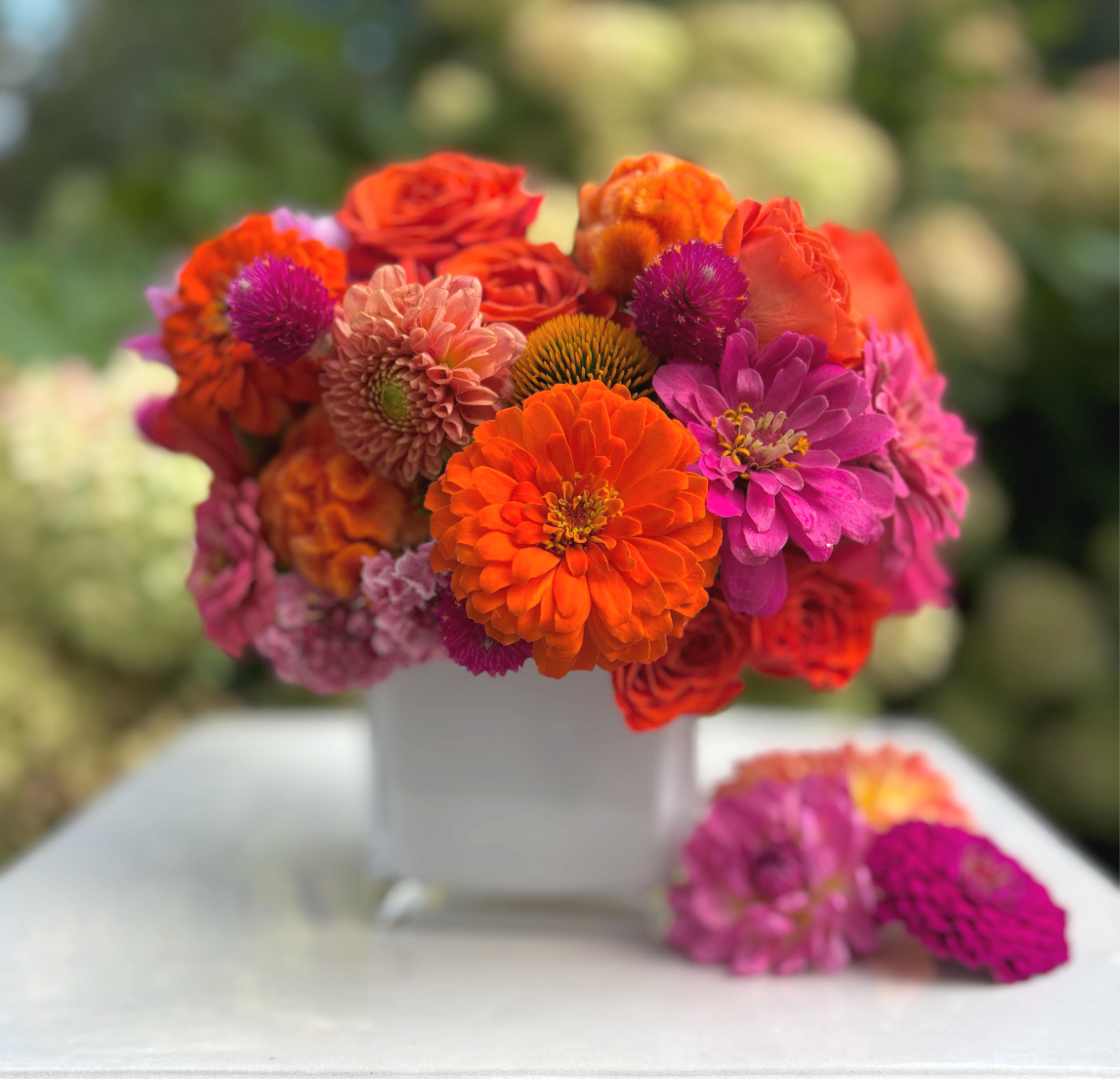 The Pop + Polish - A joyful burst of color celebrating late summer designed to make a statement.  Very Kate Spade if you will!  Vibrant shades of orange, hot pink, some red/coral come together using seasonal flowers like dahlia, zinnia, gomphrena and adding in some beautiful roses. We may play with the blooms but the colors will stray the same! Each arrangement in uniquely designed in clean white glass.  It's bright, chic and impossible not to smile at!  Standard- comes in a cute 4x4 white glass cube or cylinder.  We will use cube until we run out.  Flower very well exceed vase size.  Deluxe- comes in a larger 6x6 white glass cube or cylinder.  A fair amount more flowers than the standard.  Premium-comes tall and terrific in a white glass vessel that measures 10" x 8".  We will use more flowers and the arrangement will be lush and tight (not wild).     