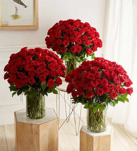 Three large bouquets of red roses in clear glass vases