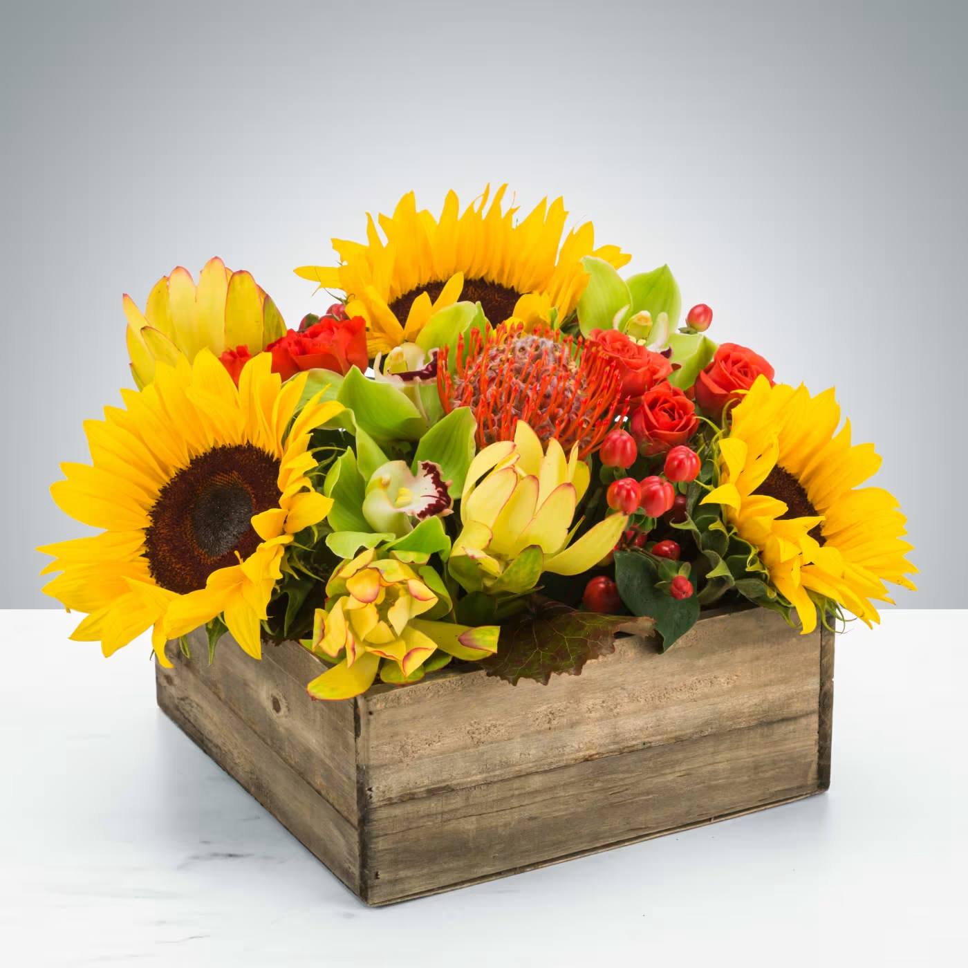 Picnic by BloomNation™ - Summer in a box! Everybody loves a picnic! Featuring sunflowers, a pincushion protea, and cymbidium orchids, this arrangement is a great option to send to somebody celebrating the summer season.  Approximate Dimensions: 12"D x 8"H