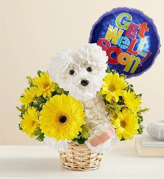 White flower dog arrangement with yellow daisies and a "Get Well Soon!" balloon