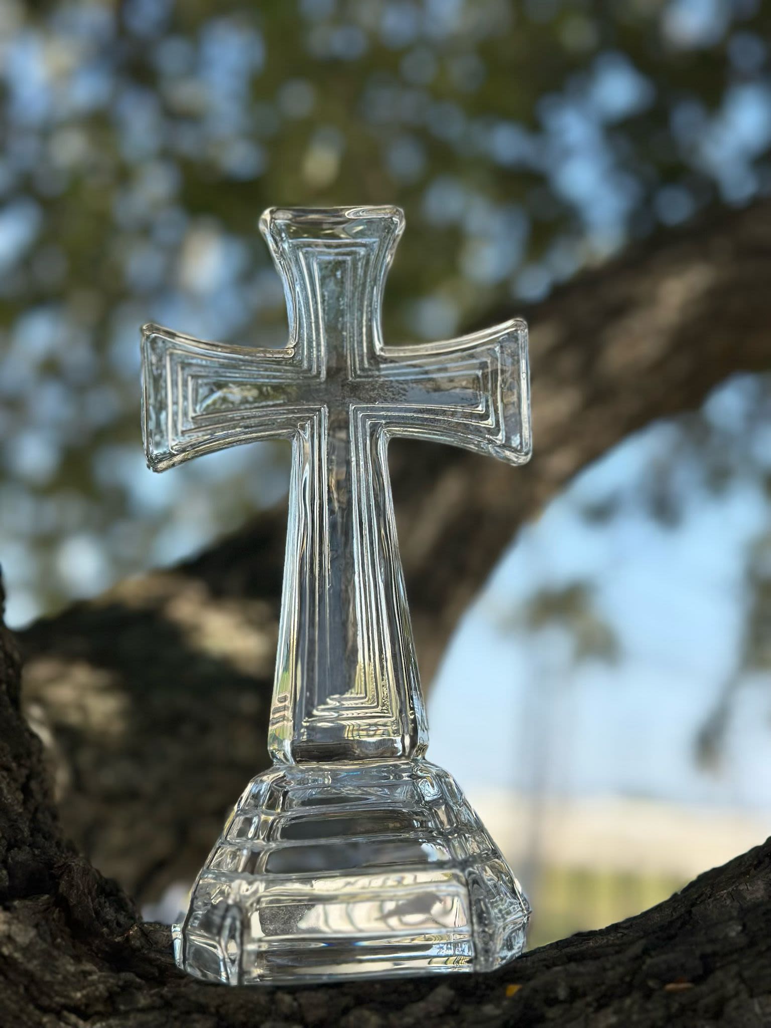 Clear glass cross ornament on a tree branch