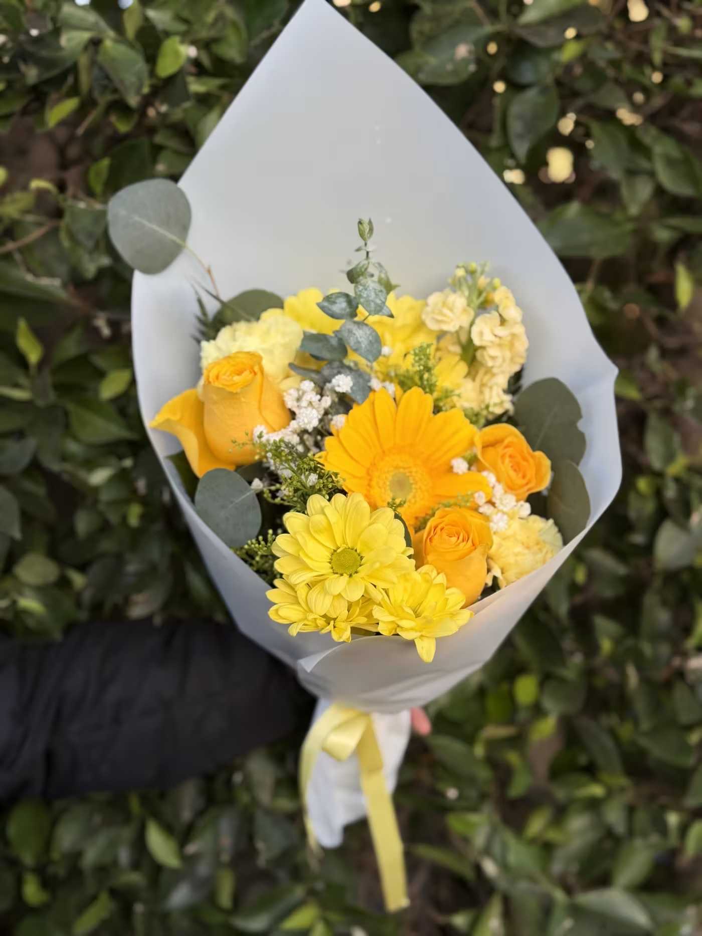  Morning Sunshine - A bright wrapped handheld bouquet of yellow roses and seasonal blooms, accented with delicate textures and fresh greenery. Soft, warm, and uplifting—Morning Sunshine captures the feeling of the day just beginning.
