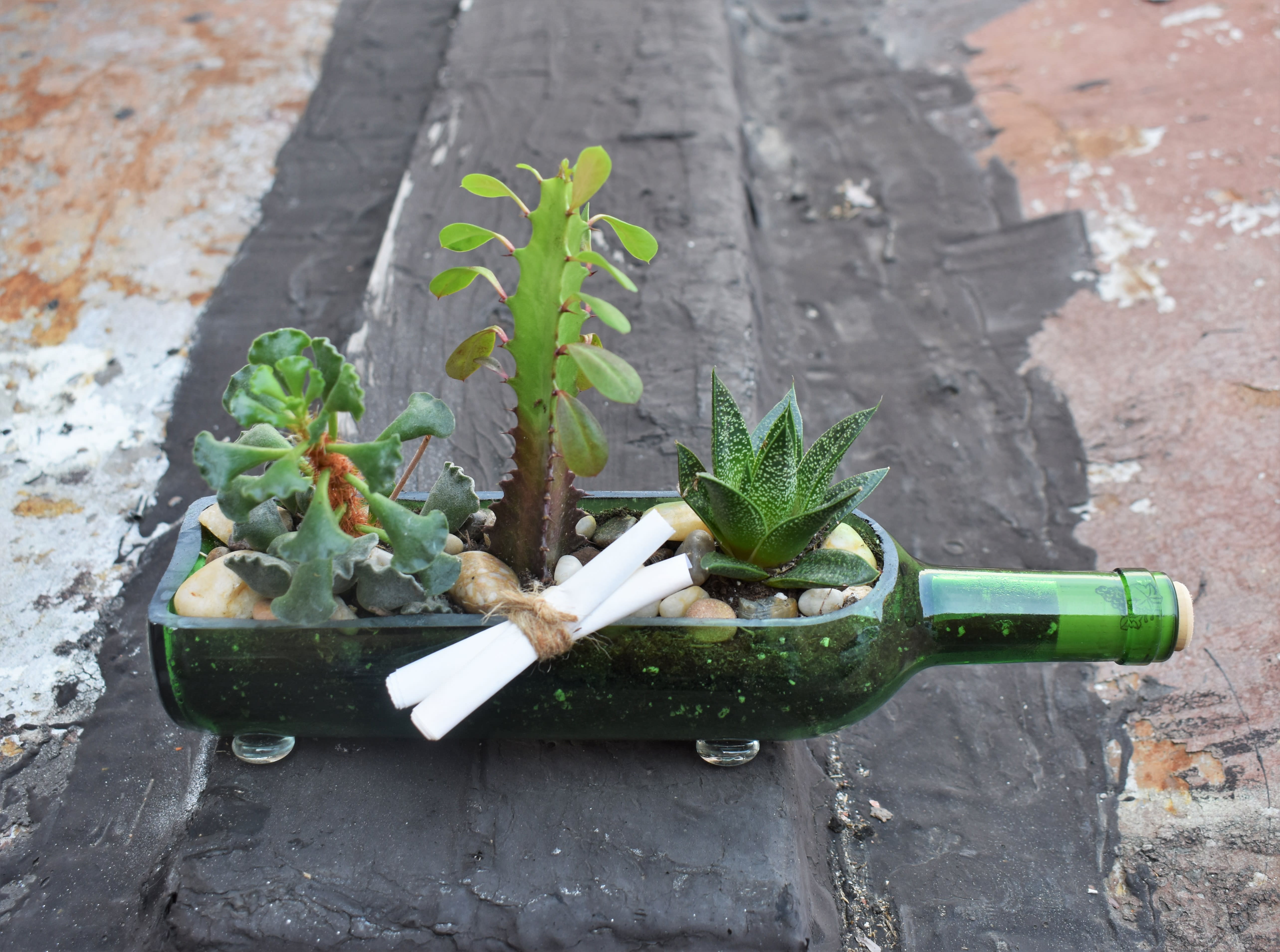 Succulent arrangement in a green glass bottle with a ribbon tie