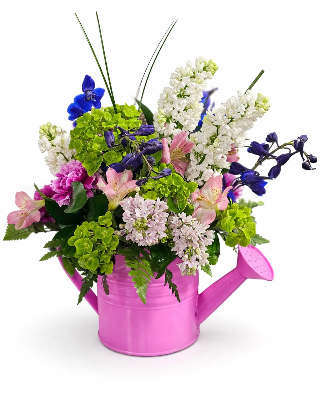 Charming Garden Watering Can Arrangement - Brighten any space with this delightful floral arrangement designed in a vibrant watering can. Featuring a fresh mix of seasonal blooms—including soft pink alstroemeria, lush green hydrangea, delicate white stock, and rich blue delphinium—this piece brings a cheerful garden feel indoors.  Each arrangement is beautifully presented in a reusable decorative watering can, available in multiple color options: Red, Yellow, Blue, Green, Pink, and Orange—making it easy to match any occasion or personal style.  Perfect for spring celebrations, birthdays, get-well wishes, or simply adding a pop of color to any room.   Fresh, hand-arranged flowers  Reusable keepsake watering can  Available in multiple vibrant colors  Perfect for gifting or home décor  A charming and whimsical arrangement that delivers beauty and joy in every detail.