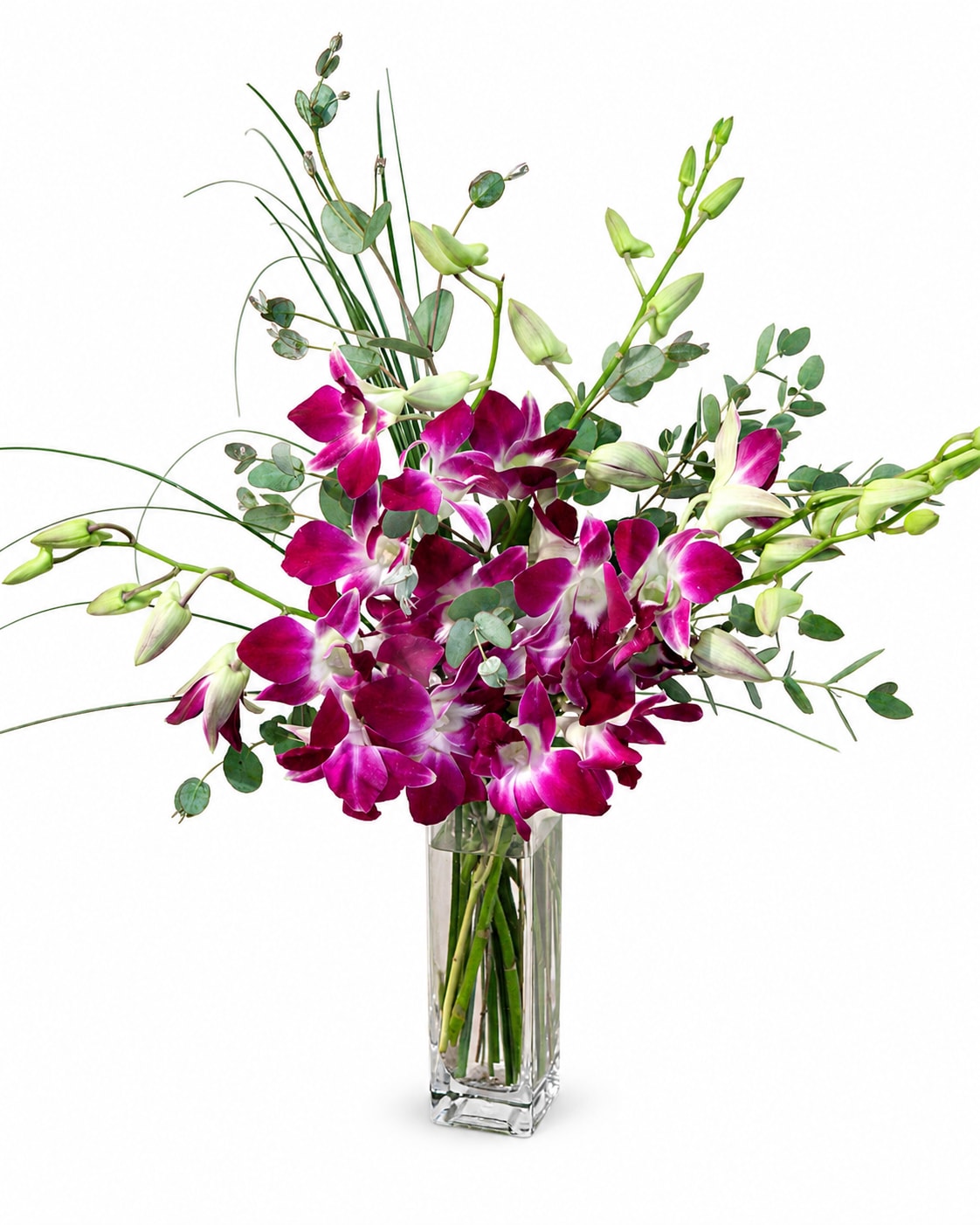 Magenta orchids in a tall clear glass vase with airy greenery