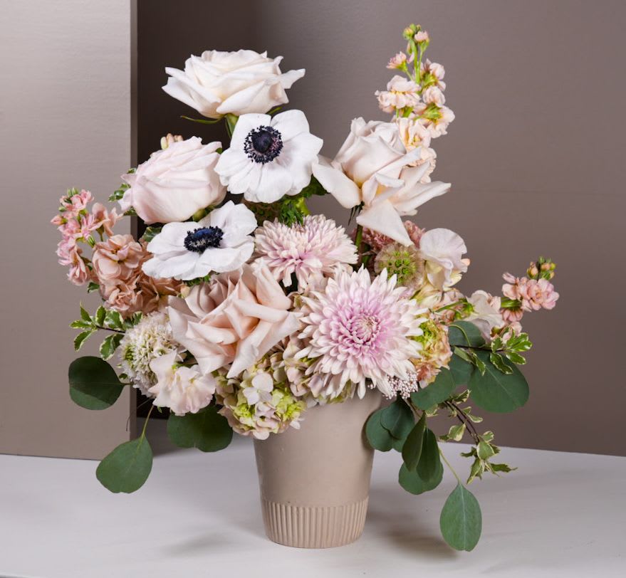 "My Fair Lady" - Blush tones in full bloom - graceful, elegant and blooming into sophistication.
