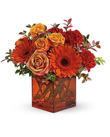Sunrise Sunset by Teleflora - Sunrise, sunset, swiftly fly the days. So don't let another day go by without letting someone you know that you are thinking of them. This delightful arrangement will brighten anyone's morning, noon and night. Fiery orange roses, spray roses and gerberas plus red carnations and huckleberry, are arranged in an exclusive orange cube vase. This arrangement is bound to get glowing reviews and thank-yous!
