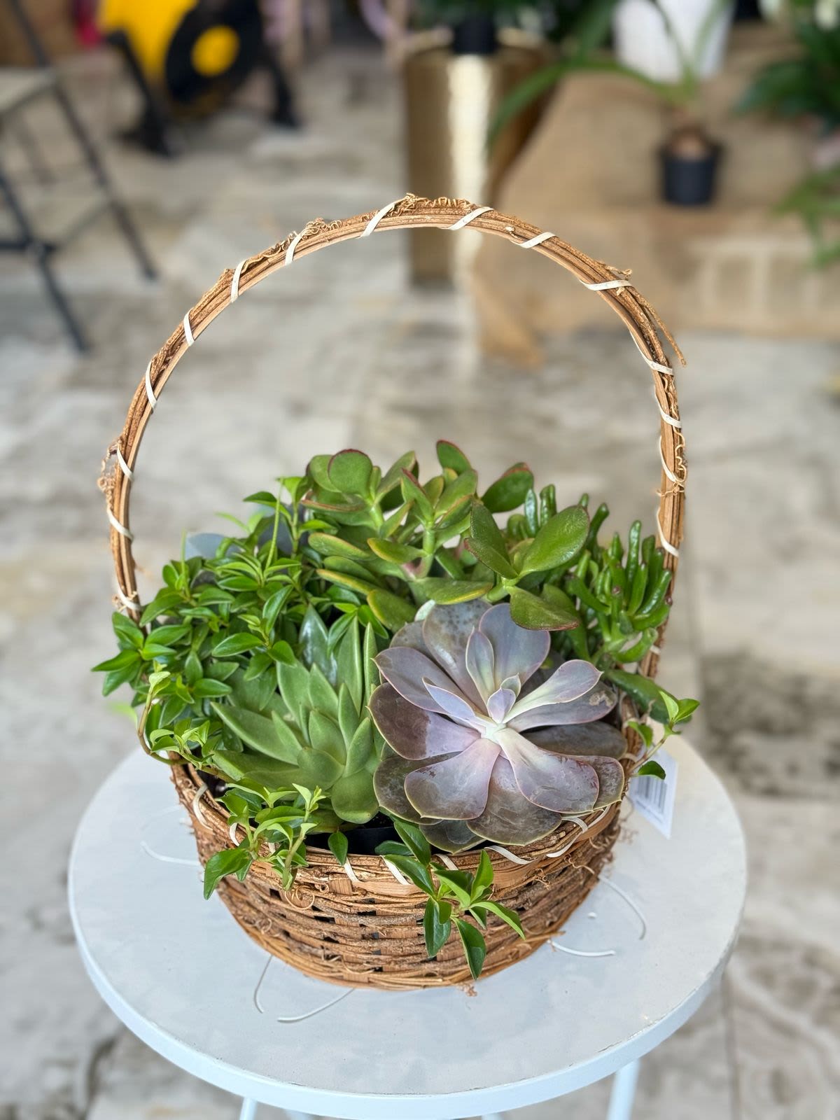 Basket of assorted succulents on a round table