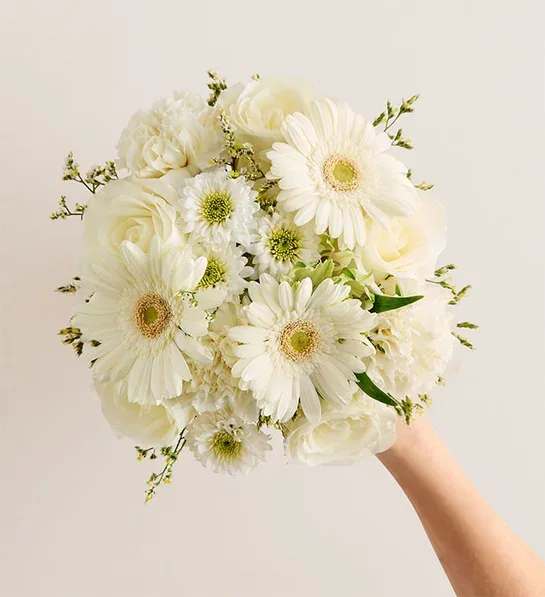 White bouquet with gerbera daisies and roses held in one hand