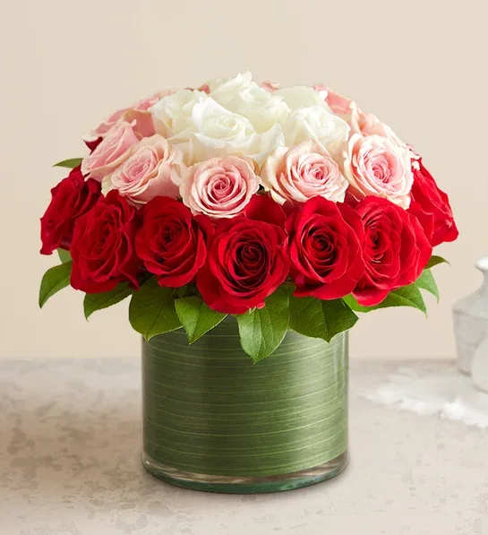 Red, pink, and white roses arranged in a green glass vase