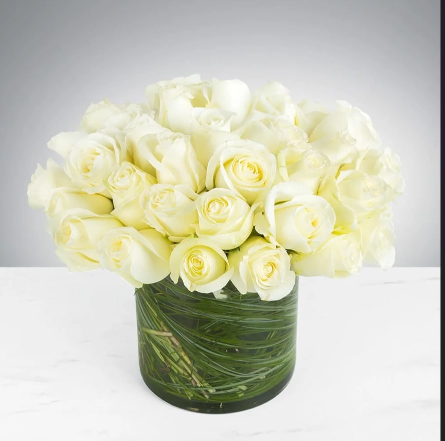 Two Dozen White Roses by BloomNation™ - Make a bold statement with this elegantly simple design. White roses symbolize hope, honor, adoration, and innocence. Two Dozen White Roses by BloomNationâ¢ is the perfect gift to welcome new beginnings or show your respects.    Arrangement Details: Three dozen red roses in a glass cylinder vase.  APPROXIMATE DIMENSIONS are 11"D X 12"H