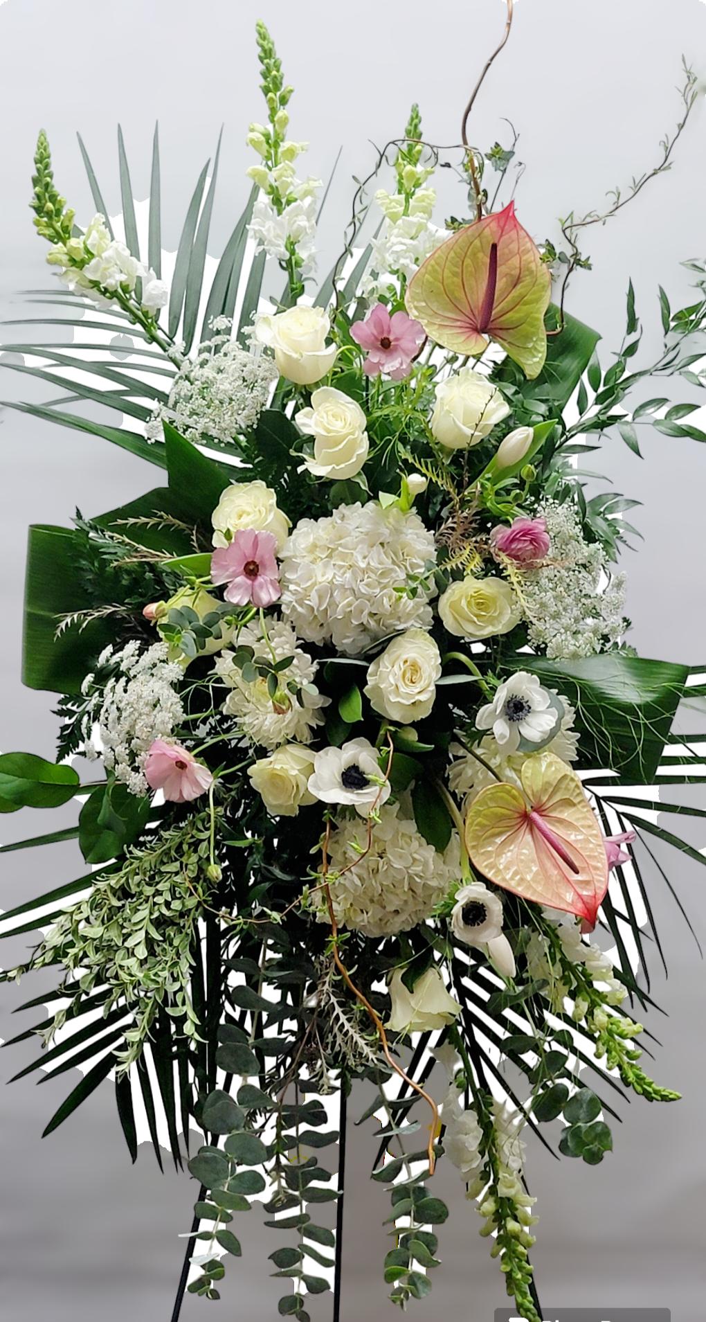 Comfort spray - Anthurium.  Anemone. Queen Ann lace. Roses. Butterfly Ranaculus. Ruscus. 